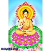 Bổn Sư Thích Ca Mâu Ni Phật